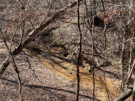 Tbd County Road 207 Centerville TX 75833