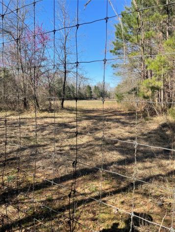 Tbd County Road 207 Centerville TX 75833