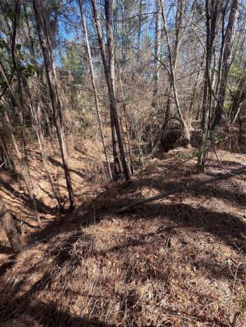 Tbd County Road 207 Centerville TX 75833