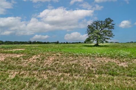 Tbd 1-13 (2.0 Acres) New Moon Red Rock TX 78662