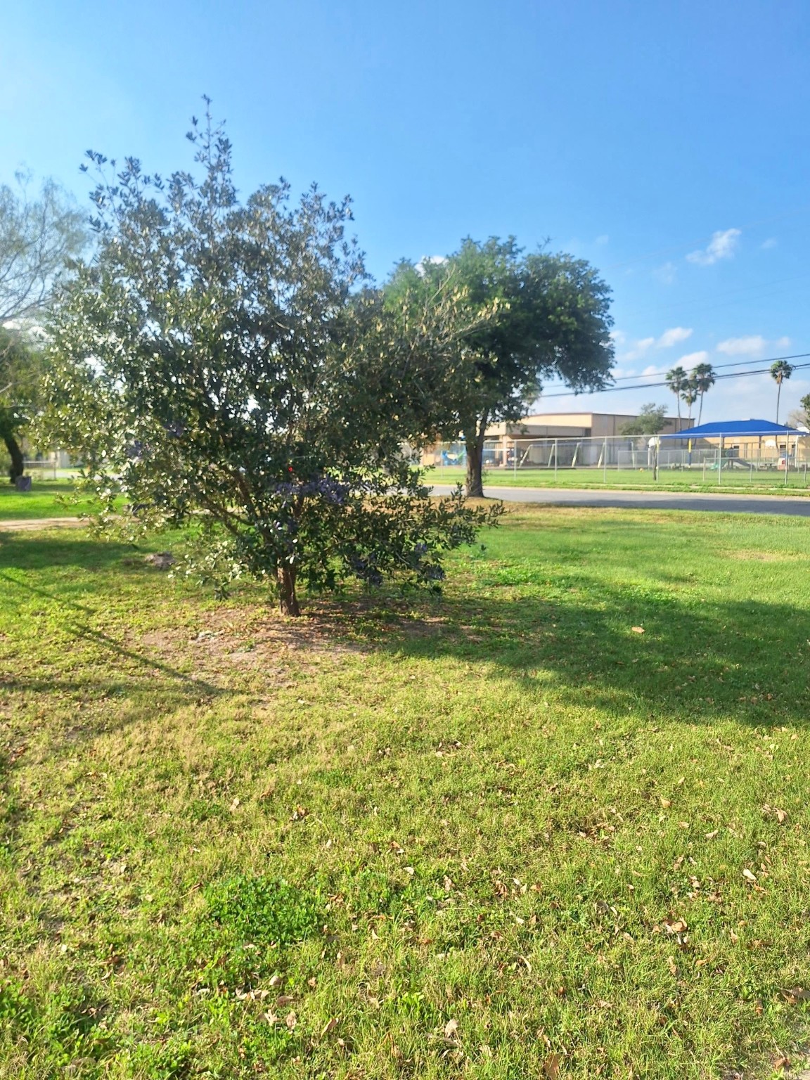 1202 S B Street Harlingen TX 78550