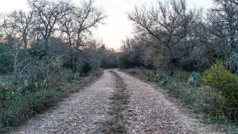 137 Shady Oaks Loop Cedar Creek TX 78612