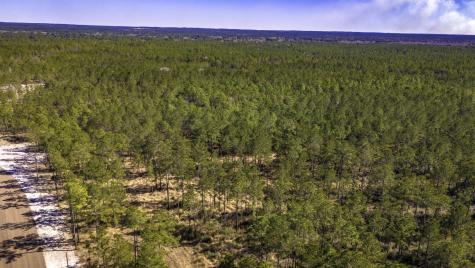046 Tumbleweed Ranch Road Road Onalaska TX 77360