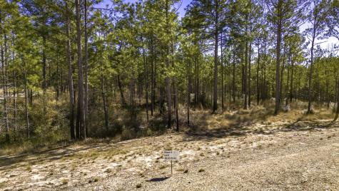 046 Tumbleweed Ranch Road Road Onalaska TX 77360