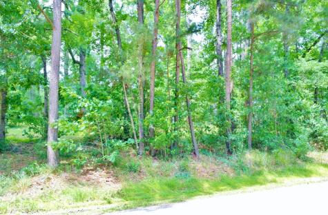 Lot 695 Lake Shore Drive Coldspring TX 77331
