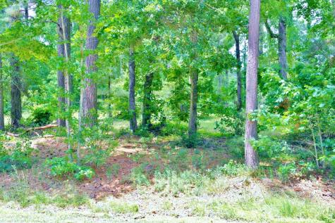 Lot 695 Lake Shore Drive Coldspring TX 77331