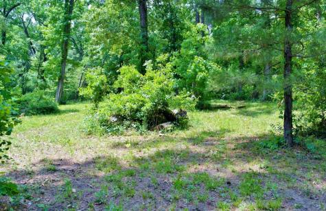 Lot 695 Lake Shore Drive Coldspring TX 77331