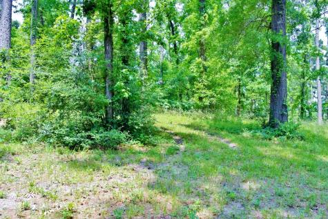 Lot 695 Lake Shore Drive Coldspring TX 77331