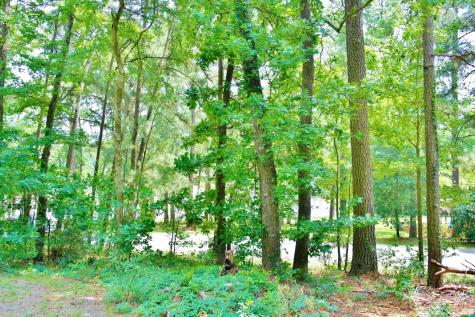 Lot 695 Lake Shore Drive Coldspring TX 77331
