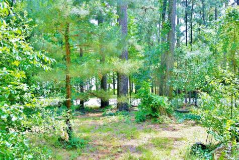 Lot 695 Lake Shore Drive Coldspring TX 77331