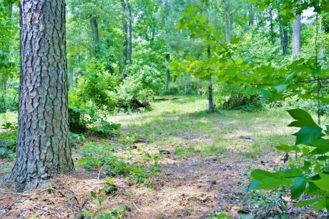 Lot 695 Lake Shore Drive Coldspring TX 77331