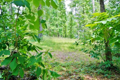 Lot 695 Lake Shore Drive Coldspring TX 77331