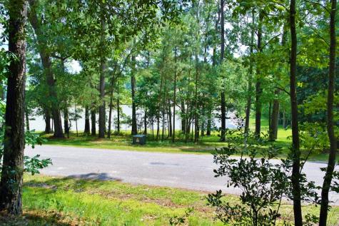 Lot 695 Lake Shore Drive Coldspring TX 77331