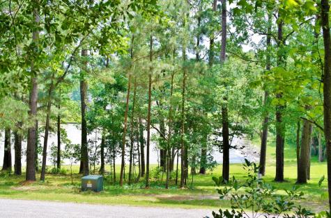 Lot 695 Lake Shore Drive Coldspring TX 77331