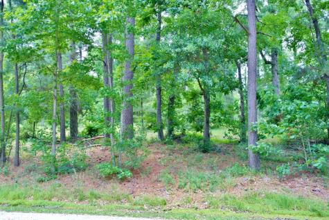 Lot 695 Lake Shore Drive Coldspring TX 77331