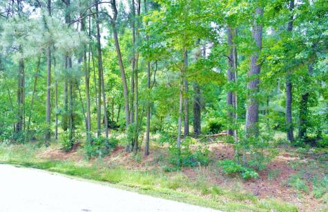 Lot 695 Lake Shore Drive Coldspring TX 77331