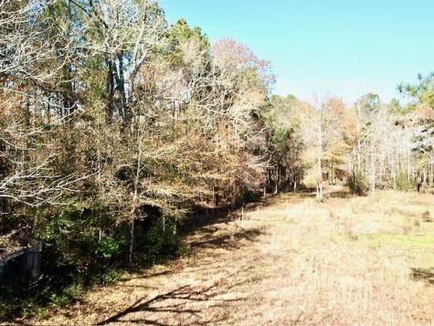 Tbd Cr 2222 Cobb Mill Road Woodville TX 75979