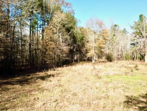 Tbd Cr 2222 Cobb Mill Road Woodville TX 75979