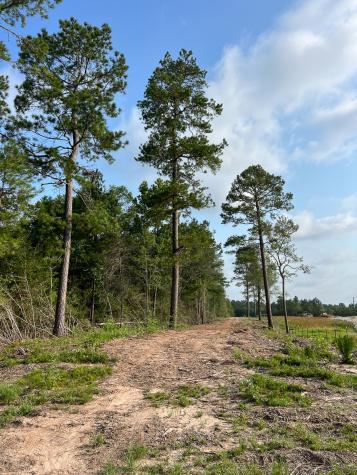 00 Fm 2989 Huntsville TX 77320