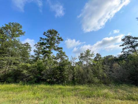 00 Fm 2989 Huntsville TX 77320