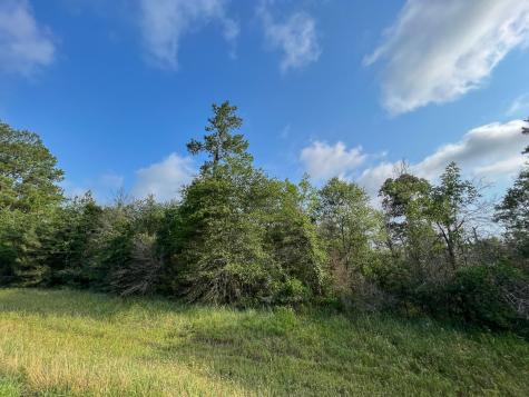00 Fm 2989 Huntsville TX 77320