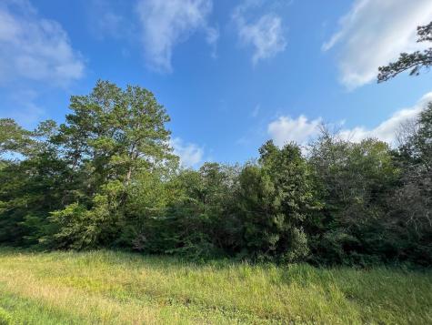00 Fm 2989 Huntsville TX 77320