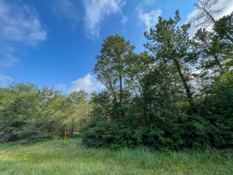 00 Fm 2989 Huntsville TX 77320