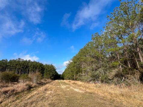 0 Highway 12/ Linscomb Road Vidor TX 77662