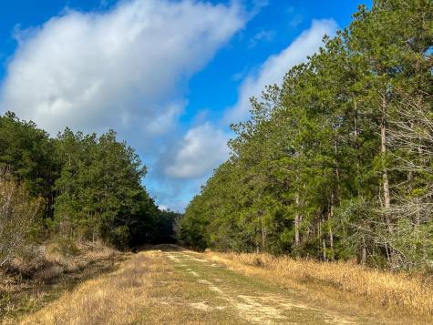 0 Highway 12/ Linscomb Road Vidor TX 77662