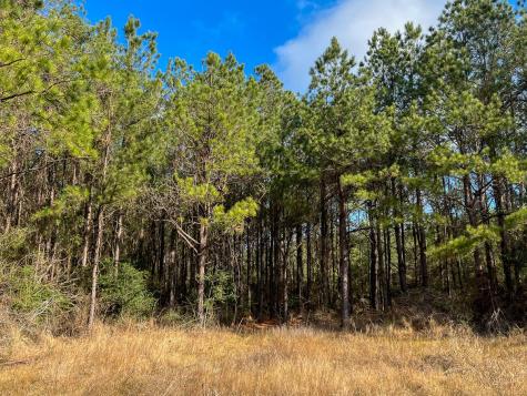 0 Highway 12/ Linscomb Road Vidor TX 77662