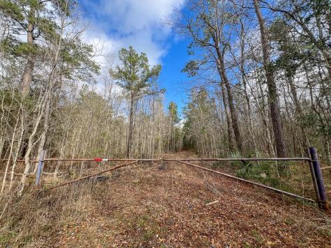 0 Highway 12/ Linscomb Road Vidor TX 77662