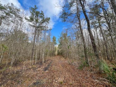 0 Highway 12/ Linscomb Road Vidor TX 77662