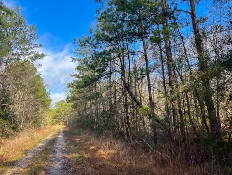 0 Highway 12/ Linscomb Road Vidor TX 77662