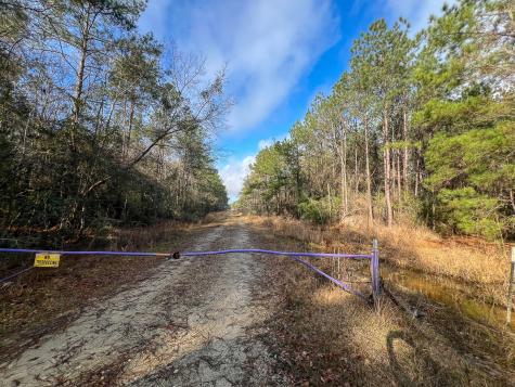 0 Highway 12/ Linscomb Road Vidor TX 77662