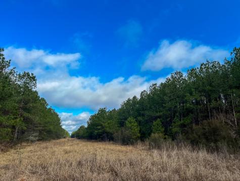 0 Highway 12/ Linscomb Road Vidor TX 77662
