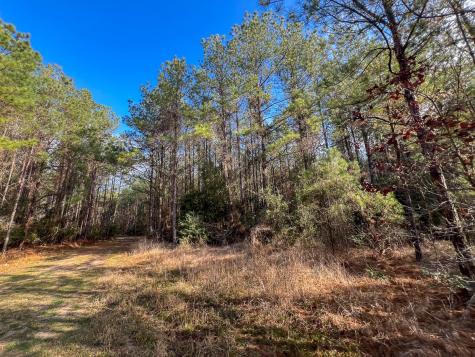 0 Highway 12/ Linscomb Road Vidor TX 77662