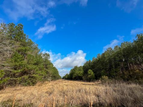 0 Highway 12/ Linscomb Road Vidor TX 77662