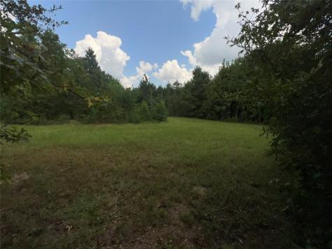 1378 N Duck Creek Road Cleveland TX 77328