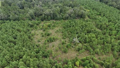 1378 N Duck Creek Road Cleveland TX 77328