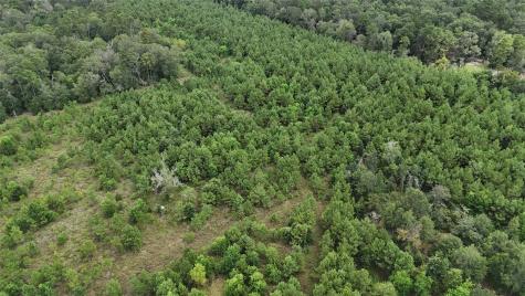 1378 N Duck Creek Road Cleveland TX 77328