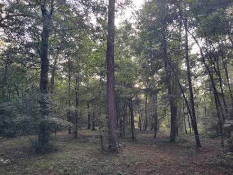 232 Texas Grand Road Huntsville TX 77340