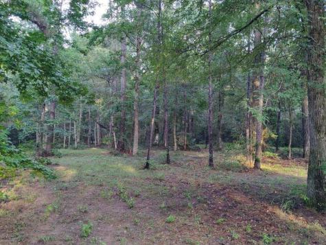 232 Texas Grand Road Huntsville TX 77340