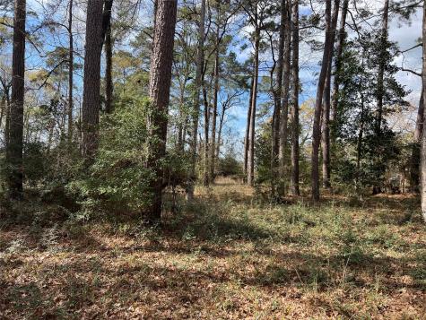 Tbd 350 North Livingston TX 77351