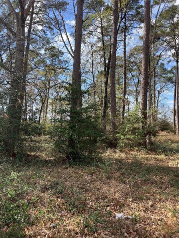 Tbd 350 North Livingston TX 77351
