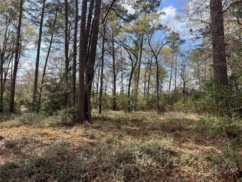 Tbd 350 North Livingston TX 77351