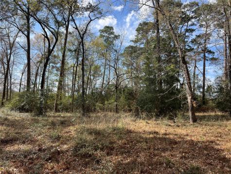 Tbd 350 North Livingston TX 77351