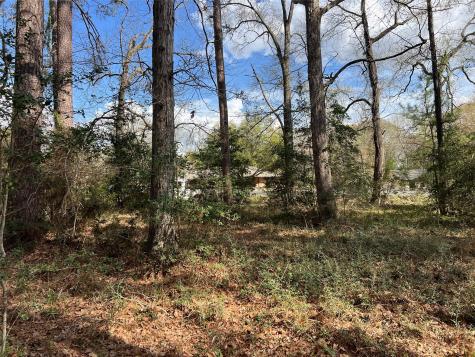 Tbd 350 North Livingston TX 77351