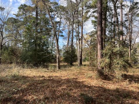 Tbd 350 North Livingston TX 77351