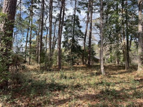 Tbd 350 North Livingston TX 77351