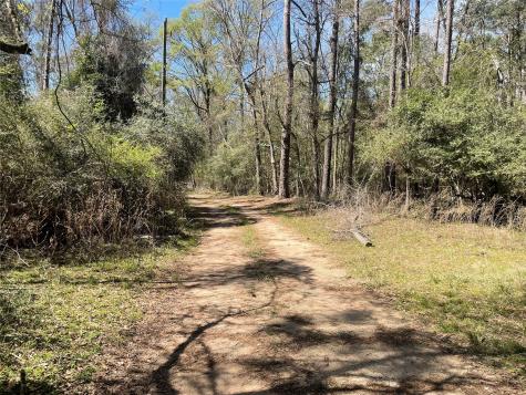 404 Possum Park Road Road Houston TX 77338